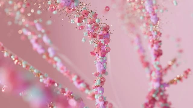 Xiaomi MiMo V2 Pro im Test: Das KI-Modell, das mit DeepSeek V4 verwechselt wird