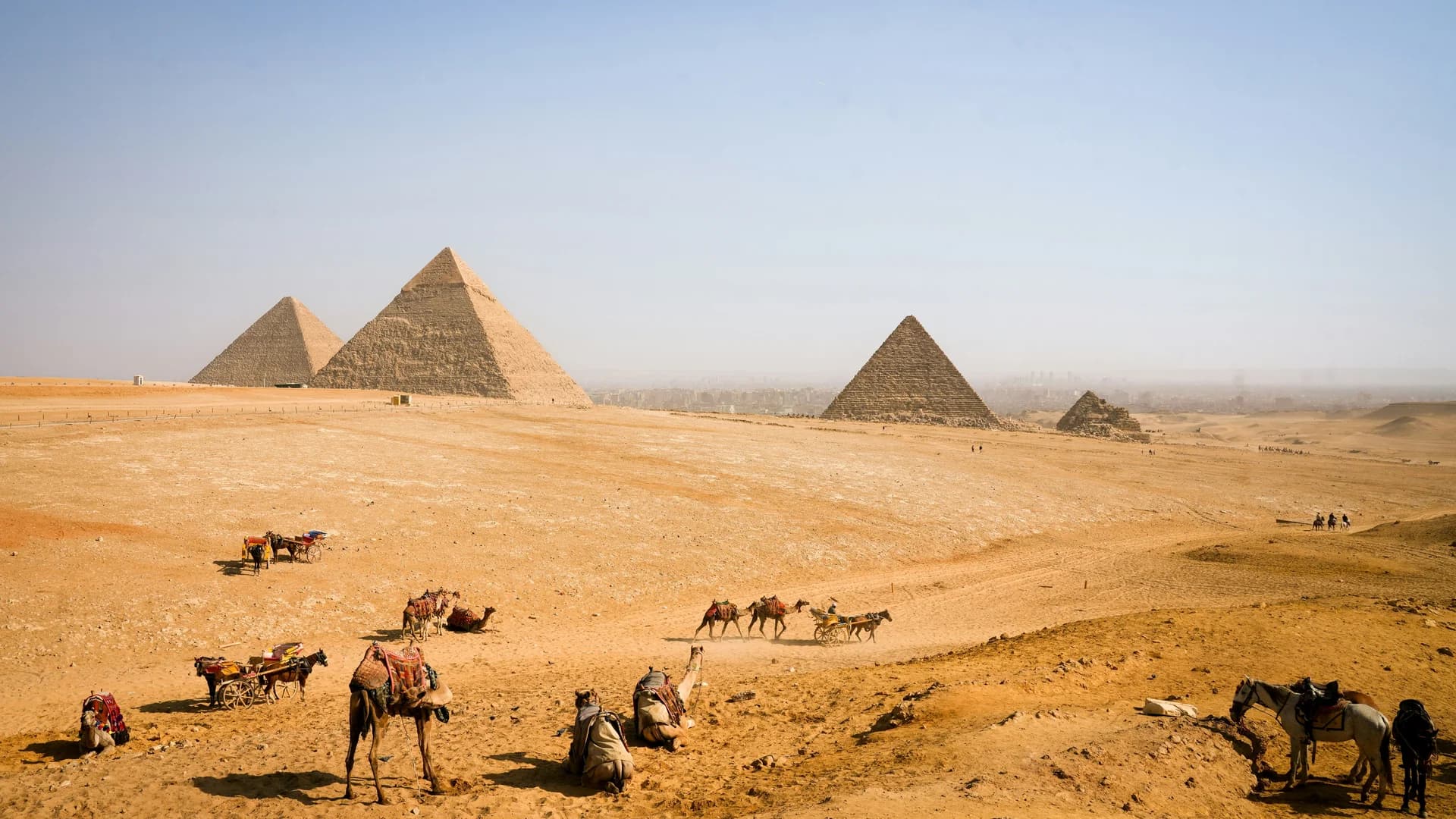 Durov: Irans Telegram-Sperre ging nach hinten los