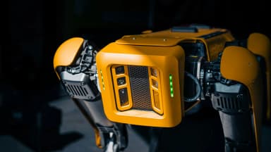 Milla Jovovich startet KI-Erinnerungstool MemPalace