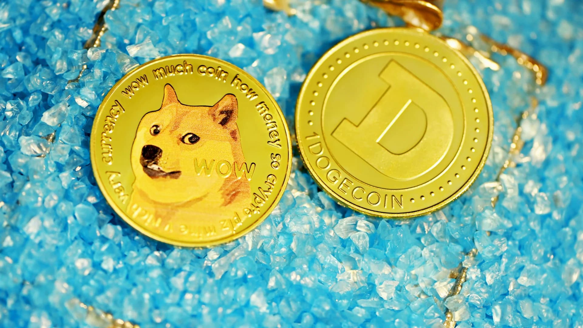 Varntix eröffnet feste und flexible Krypto-Konten während Dogecoin-$0,50-Prognose stockt