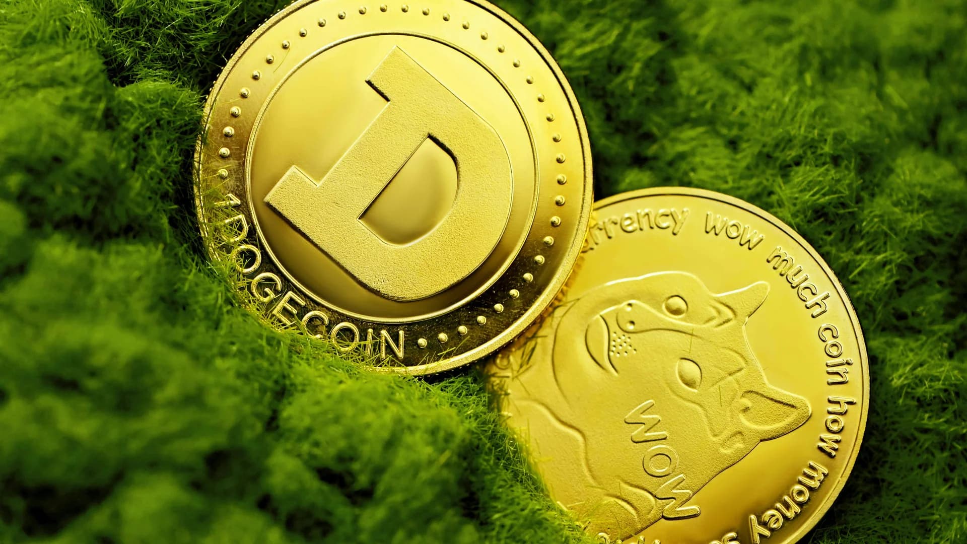 AlphaPepe-Vorverkauf überschreitet 960.000 $, AlphaSwap-Demo erreicht 1.000 Nutzer