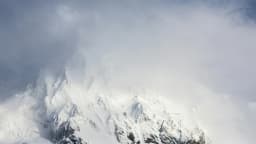 Avalanche-Chef: Krypto muss erwachsen werden und reale Probleme loesen