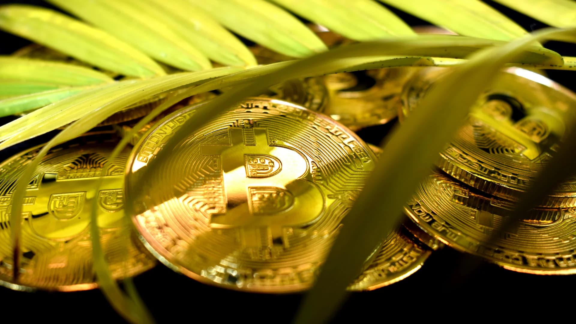 20 Millionen Bitcoin geschürft – die meisten Miner verpassen den nächsten