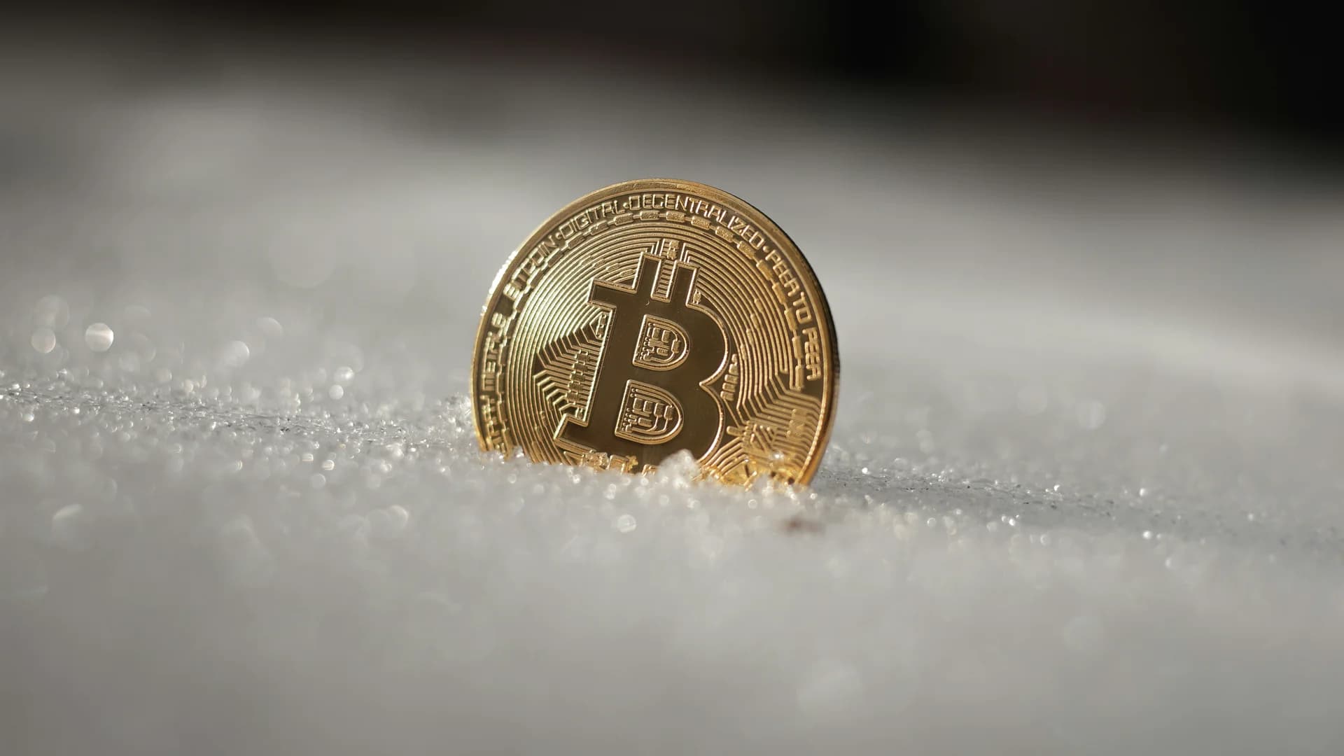 Krypto-Wal verliert 50 Mio. $ bei DeFi-Swap-Desaster