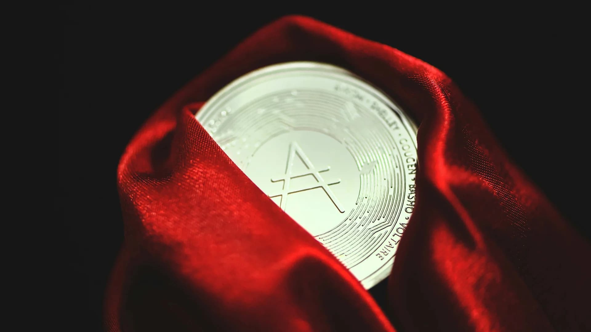 Hat ChatGPT wirklich den Krebs eines Hundes geheilt?