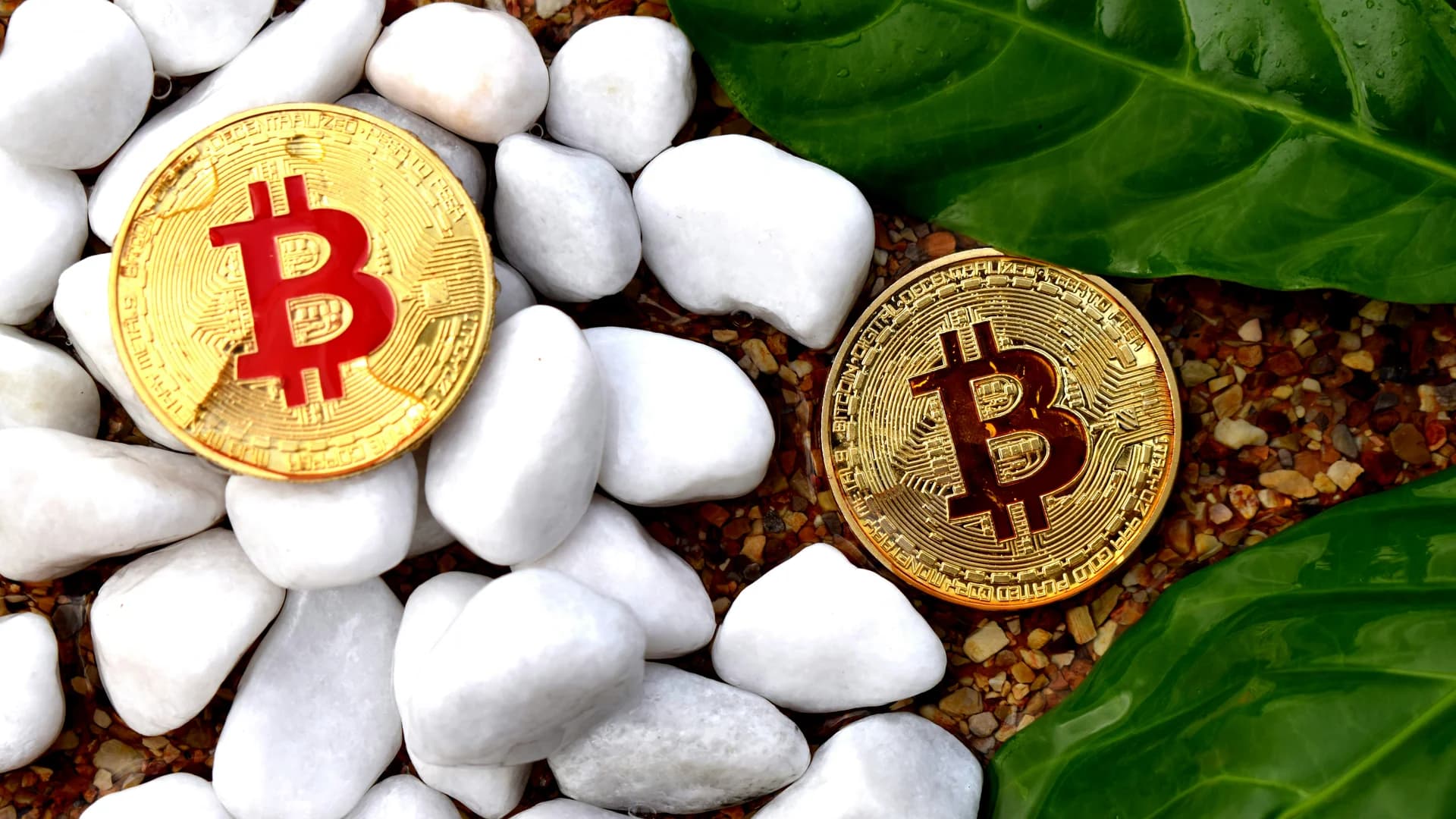 Preisprognosen 17.3.: BTC, ETH, XRP, SOL und mehr