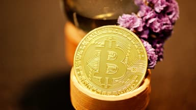 Bitcoin-ETF-Zuflüsse: $1,2B-Serie steht diese Woche auf dem Spiel